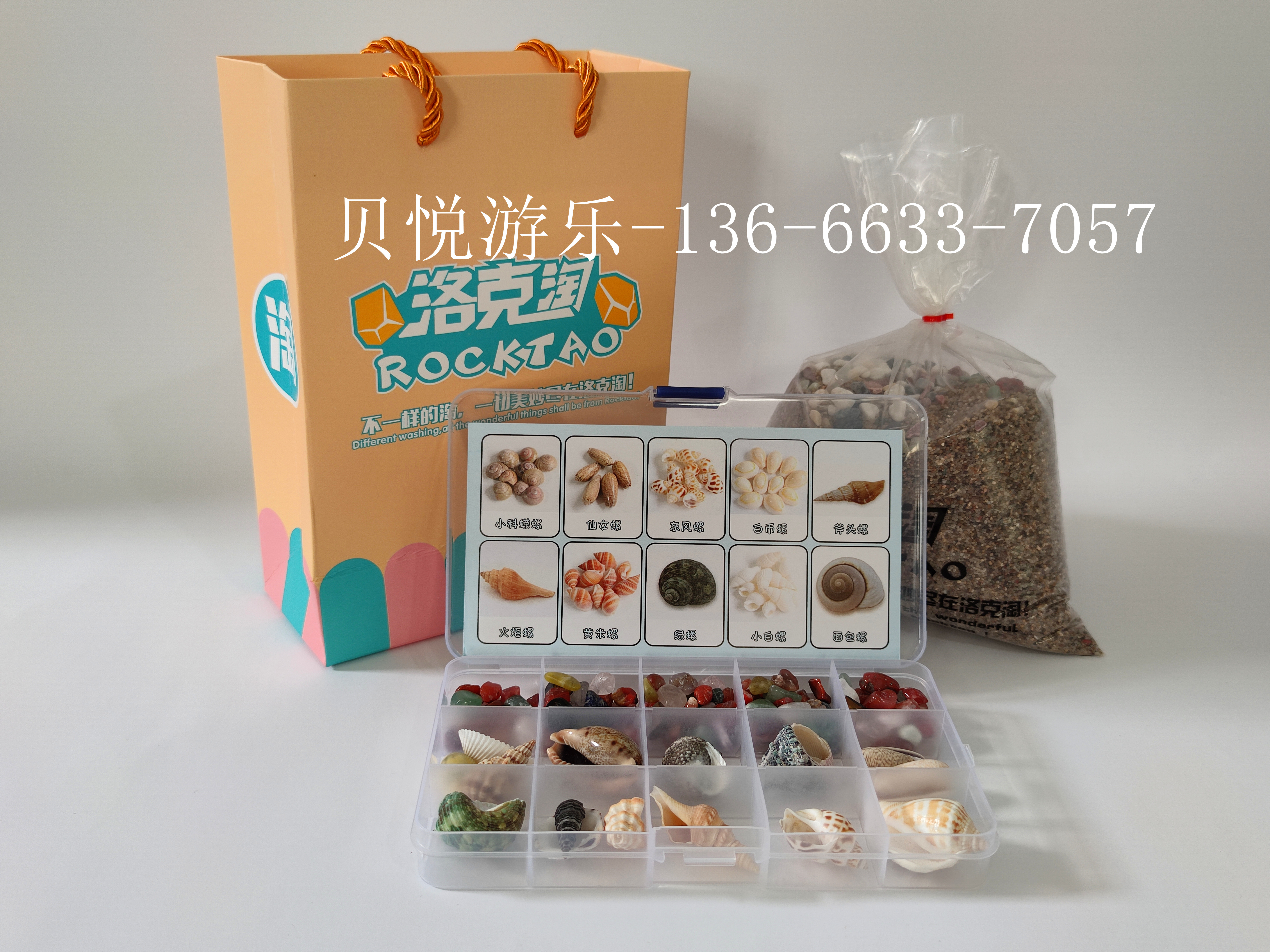 海洋貝殼